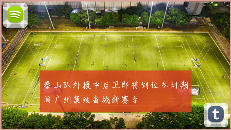 泰山队外援中后卫即将到位冬训期间广州集结备战新赛季