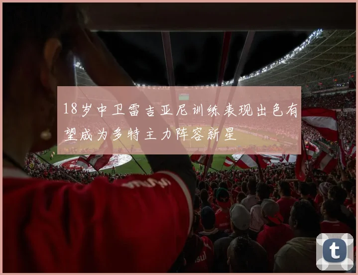 18岁中卫雷吉亚尼训练表现出色有望成为多特主力阵容新星