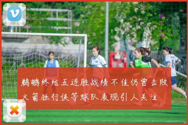鹈鹕终结五连胜战绩不佳仍曾击败火箭独行侠等球队表现引人关注