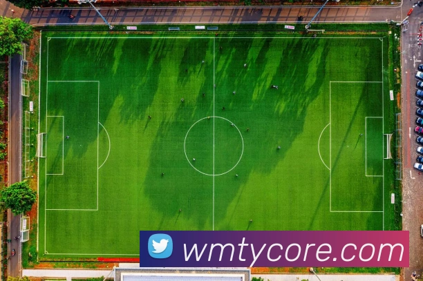 App Interface Preview