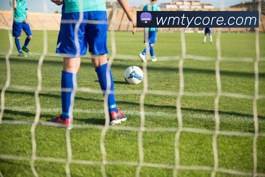 完美体育APP 封面图