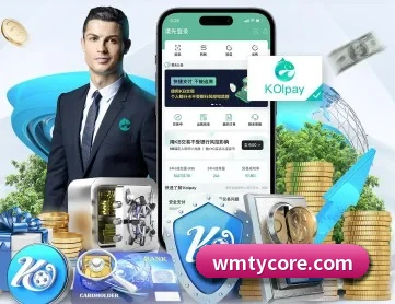 完美体育 APP